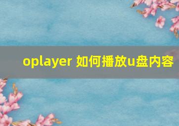 oplayer 如何播放u盘内容